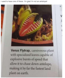 1010587978_VenusFlytrap.thumb.PNG.4c6c11421ab9b31a69da5d97643270c2.PNG
