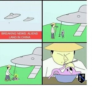 1036745299_AliensChinaGP.thumb.jpg.1ae4281adbdd0664f60a9cc962ca58d5.jpg