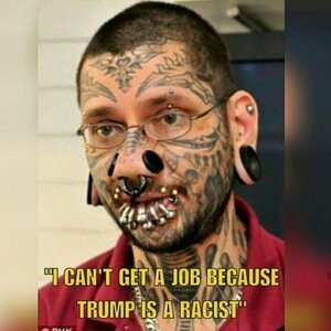 1145584179_CANTGETAJOBCOSTRUMPISARACIST.thumb.jpg.cc2fdd277446bc1e0bf2e9d7db8f51c0.jpg