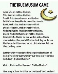 1189263908_TRUEMUSLIMSEXPLAINED.thumb.jpg.6f904b1f6db0297023abd09f50507dd0.jpg