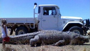 1352651294_Truckcroc.thumb.jpg.9938645732d2cb6d56165dc9c2440670.jpg