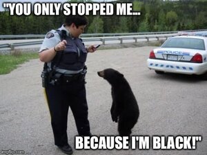 1360507406_BEAR-STOPPEDCOSIMBLACK.thumb.jpg.320d470e7898e63240d8d7cc955ed572.jpg