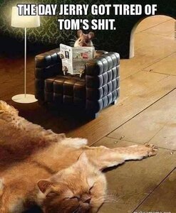 1387875847_JERRYANDTOM.thumb.jpg.9129b521c59d686c4addf816619d111c.jpg