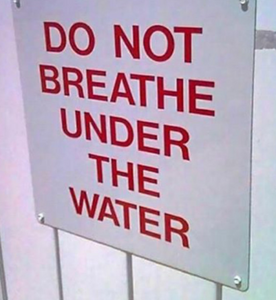 1538479327756.thumb.png.61c8a1ff547d0d08e5e695ae91950798.png