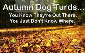 1568062705_DogPoo.thumb.png.a471b873898cdf84382adb56af2d9a5d.png