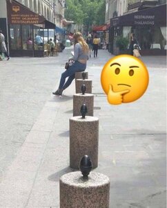 1635717356_PluggedIn.thumb.jpg.56cd0ef2344569beaad62776dde5d4ec.jpg