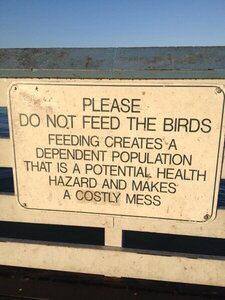 1649560453_DONTFEEDTHEBIRDS.thumb.jpg.7a07ec473c49a416e292c4c58f617adc.jpg