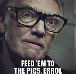1806719802_FEEDEMTOTHEPIGSERROL.thumb.jpg.47065dfdfbab1f1e0478ae7289f2752e.jpg
