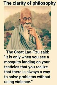 1838636824_Laotzuonviolence.thumb.jpg.bb84ca55250d838eac2bcf2bacff2c29.jpg