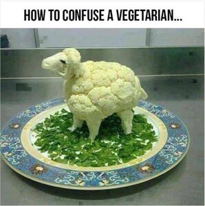 249786933_HOWTOCONFUSEAVEGETARIAN.thumb.jpg.451aea732baa224b65c601434aac118b.jpg
