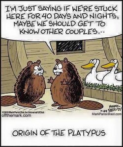 274313372_OriginofthePlatypus.thumb.jpg.fd9905ef39be9ee46cc3927297968f16.jpg