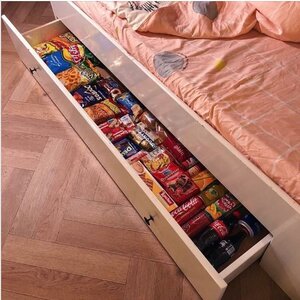 344602932_underbeddrawer.thumb.JPG.99c9ceb61435830cdc0d391523d02c8d.JPG