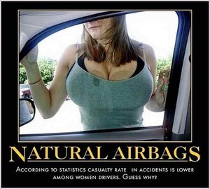 594389144_NaturalAirbags.thumb.jpg.1cd3927551428fb6b47949132ce7dce1.jpg