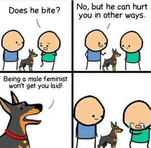798529103_ANTIFEMINISTDOG.thumb.jpg.bad05ca3ac2b00172f1f039d77e83cf7.jpg