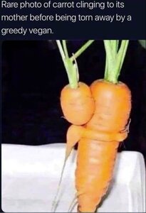 92519513_MumandBabyCarrot.thumb.jpg.b8d9b83924428309102e0d5a15e5b0f0.jpg