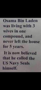 948788727_NavySeals.thumb.jpg.ab3986f9446deb7929b0bf628e6db79b.jpg
