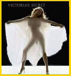 975344785_victoriassecret.thumb.jpg.f1c716fc5000273b53c8fe8cc836e6c9.jpg