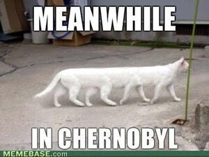 Chernobyl.thumb.jpg.b8b55c8daff68b1bcb427c8e85f41d19.jpg