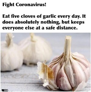 Coronavirus-garlic.thumb.jpg.902ea44f869631b2735ef6987566f48b.jpg