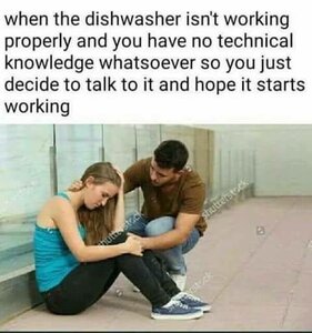 Dishwasher.thumb.jpg.4198dee33ee503944e67fed1468b1c77.jpg