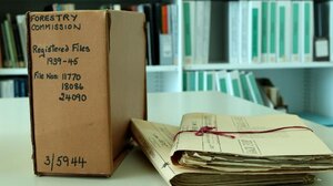 Forestry-files-NSW.thumb.jpg.443c7727530421ddefd9a2b0a2d1ed6c.jpg