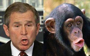 George-W.-Bush-Chimp.thumb.jpg.53ae68a1d143097be1e8b9a10e32ff23.jpg