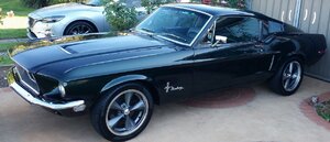 Mustang.thumb.jpg.dd12f6308f2e71c756c56e25f90ec6d4.jpg