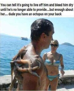 Octopus.thumb.jpg.c08fae54a1727e2c5a3b5511ac8dcd2f.jpg