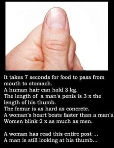 THUMB.thumb.jpg.51befe83feea6433070d86177016234f.jpg