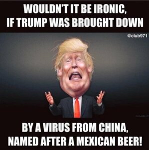 Virus-Trump-down.thumb.jpg.b48df3f687eca2b2ff21c6ba51d5cdca.jpg
