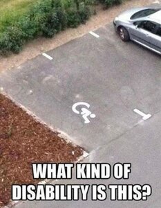 disability.thumb.JPG.8bd6dd106b6782373bcd42cea6dbbbab.JPG