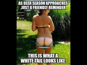 image.thumb.jpg.2d397ecf8adfba153ff4911bcafe9d13.jpg