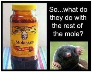 molasses.thumb.JPG.3aed5245ae345edbe77c0512024e75b2.JPG