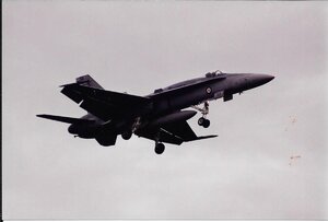 Hornet.thumb.jpg.078df966363482d16851f2073e88cd72.jpg