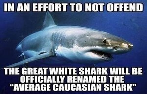 1095663712_greatwhite.thumb.jpg.2c5516b3fba7307e22cbd253aa23599d.jpg