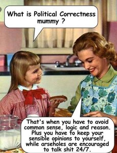 1559636449_politicalcorrectness.thumb.jpg.ddfe6ceabece97a1e0b26374bf3e90e8.jpg