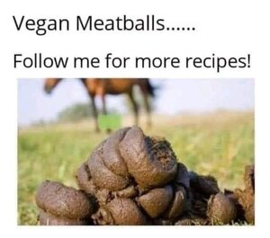 452246721_veganmeatballs.thumb.jpg.ebf753fafd6c57d8c6247e5704a805c5.jpg