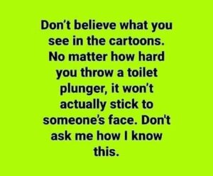660366435_toiletplunger.thumb.jpg.b41749c8879c71eb46bc6985a4f365a9.jpg