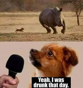 1024107561_drunkthatday.thumb.jpg.cdb776f138dc7e0ae322db47ef8525f9.jpg