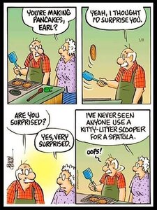 1217055506_pancakeflipper.thumb.jpg.bd5a7cd9c84c65645fb243abc37721f7.jpg