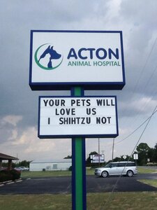 vet-signs9.jpg