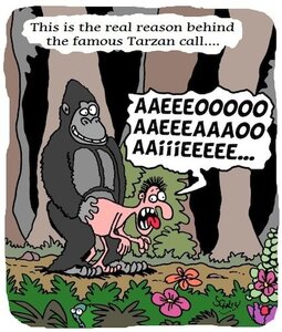 TARZAN.jpg