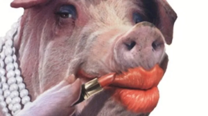 lipstick_on_a_pig.png