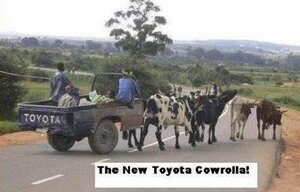 Cowrolla.JPG