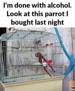 PARROT.thumb.jpg.f78b5b1f8b06d694db69b115842f0ad4.jpg