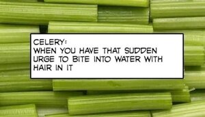 celery.jpg