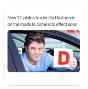 1943053217_Dplates.thumb.png.d8d39da026247fbbc55e4b746941a41a.png