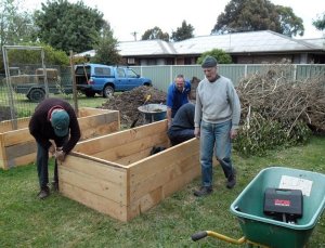 62022176_Buildingraisedbeds.thumb.jpg.684d14e03261a3a132dc6c33f17eddd7.jpg