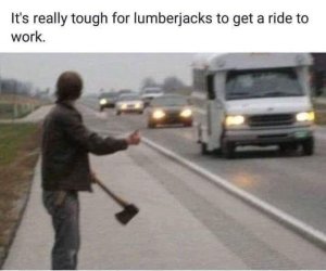 lumberjack.thumb.jpg.2f37396a823214d58f6d57945d657b7f.jpg