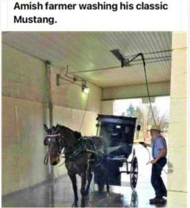 1303833913_amishmustang.thumb.jpg.80249daf25c2e302fd1c25caf0c1e81e.jpg